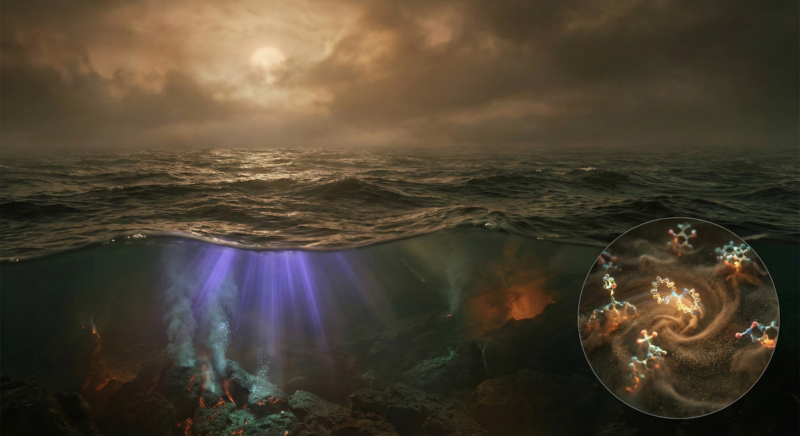 Jak cenne jest życie? cz.&nbsp;2